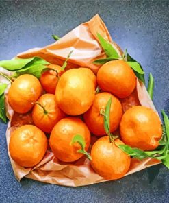 Mandarine Orange Creativity Paint By Numbers