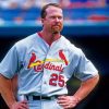Mark McGwire Baseball Legend Paint By Numbers