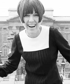 Mary Quant Fashion Icon Paint By Numbers