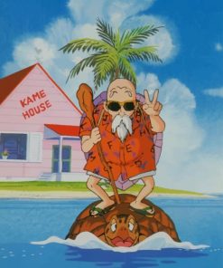 Dragon Ball Master Roshi Paint By Numbers