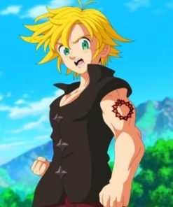 Meliodas Anime Experience Paint By Numbers