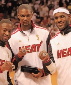 Miami Heat Stars Paint By Numbers