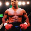 Mike Tyson Legendary Boxer Paint By Numbers