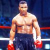 Mike Tyson Boxing Legend Paint By Numbers