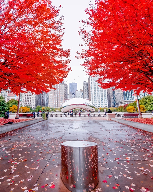 Finalizing the Millennium Park Artwork