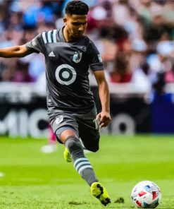 Exploring Minnesota United FC Players Paint By Numbers