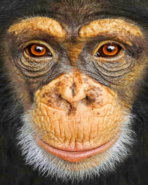 Finalizing the artwork