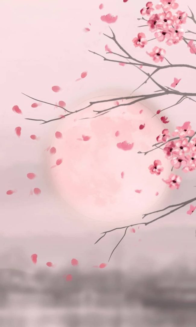 Cherry Blossom Moonlit Landscape Paint By Numbers