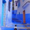 Moroccan Blue House Cat Paint By Numbers