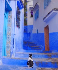 Moroccan Blue House Cat Paint By Numbers