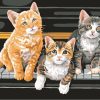 Three Kittens Cats Paint By Numbers