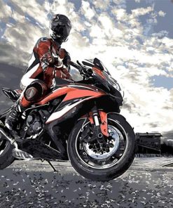 Motorcycle Rider Adventures Paint By Numbers