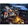 Forest Motorbike Adventure Paint By Numbers