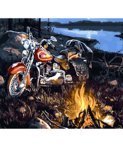 Forest Motorbike Adventure Paint By Numbers