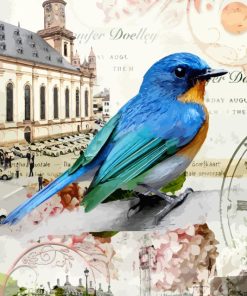 Mountain Bluebird Picture Paint By Numbers