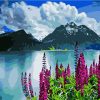 Mountain Flowers Scenery Paint By Numbers