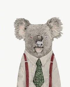 Koala Themed Animal Paint By Numbers