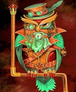 Mr Owl Bird Paint By Numbers