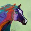 Colorful Horse Paint By Numbers