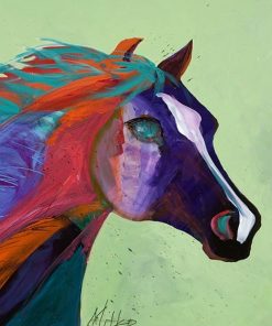 Colorful Horse Paint By Numbers