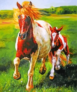Mustang Horse Art Paint By Numbers