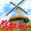 Dudutki Windmill Landscape Paint By Numbers