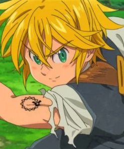 Meliodas Anime Paint By Numbers