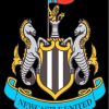 Newcastle United Logos Paint By Numbers