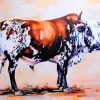 Nguni Cattle Animals Paint By Numbers