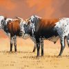 Nguni Cattle Paint By Numbers