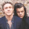 Niall Horan and Harry Styles Fan Paint By Numbers