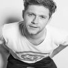 Niall Horan Black and White Fashion Paint By Numbers