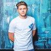 Niall Horan Photoshoot Paint By Numbers