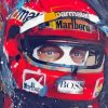 Niki Lauda Formula 1 Paint By Numbers