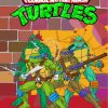 Teenage Mutant Ninja Turtles Heroes Paint By Numbers