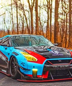 Nissan GTR Engines Paint By Numbers