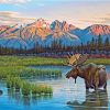 Solitude Elk Wildlife Paint By Numbers