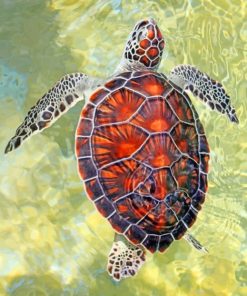 Ocean Turtle Seascape Paint By Numbers