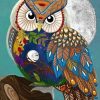 Owl and Moonlit Night Paint By Numbers