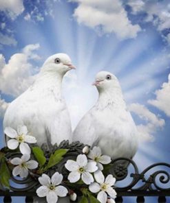Pigeon and Dove Painting Set Paint By Numbers