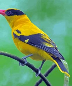 Old World Orioles Yellow Paint By Numbers