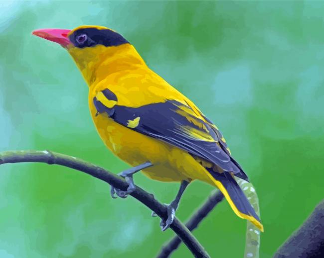 Finalizing the Old World Orioles Artwork