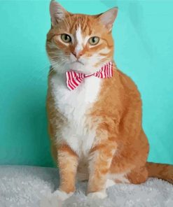 Orange Tabby Cat Paint By Numbers