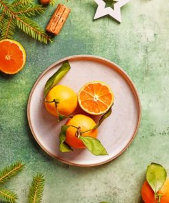 Orange Citrus Delight Paint By Numbers