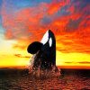 Orca Ocean Magic Paint By Numbers