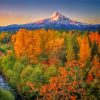 Oregon Mountain Fall Scene Paint By Numbers