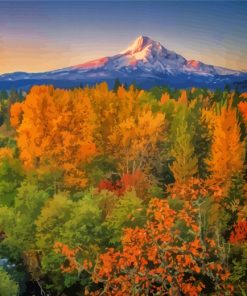 Oregon Mountain Fall Scene Paint By Numbers