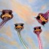 Ostrich Heads Hot Selling Paint By Numbers