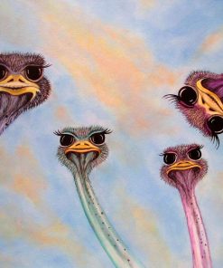 Ostrich Heads Hot Selling Paint By Numbers