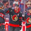 Ottawa Senators Ice Hockey Paint By Numbers